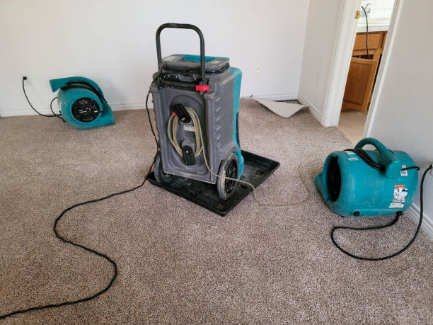 Best 24-hour water damage restoration  in Herrin, IL