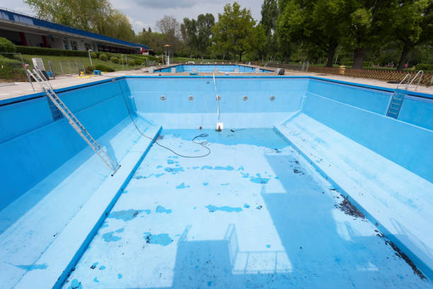 Best Mold removal after water damage  in Herrin, IL