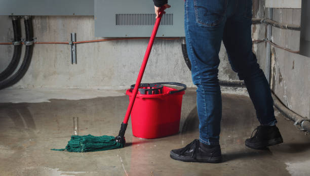  Herrin, IL Water damage restoration Pros