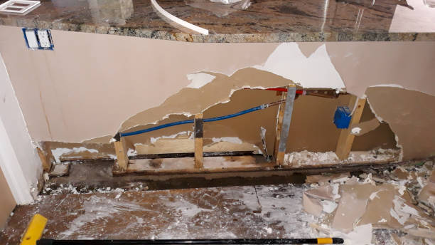 Best 24/7 water damage repair  in Herrin, IL