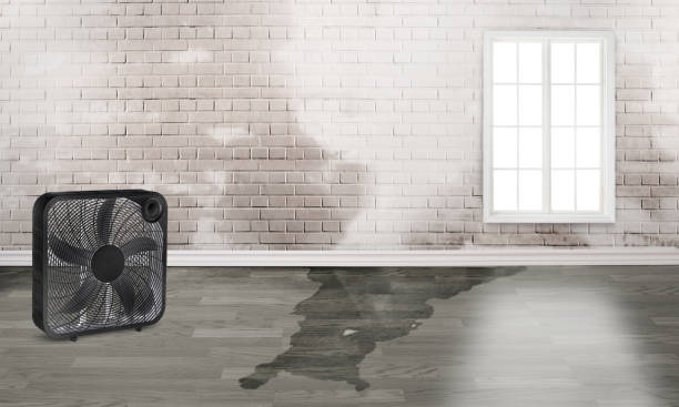 Best Commercial water damage restoration  in Herrin, IL