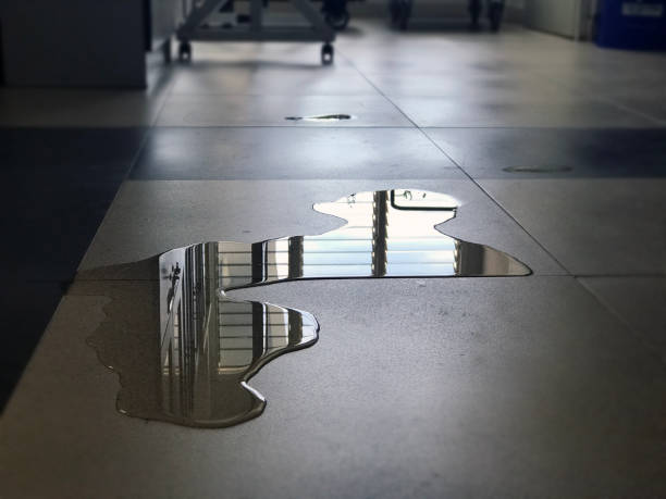 Best Local water damage restoration  in Herrin, IL