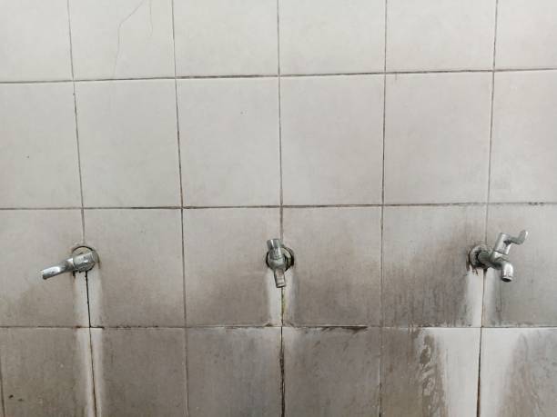 Best Ceiling water damage repair  in Herrin, IL