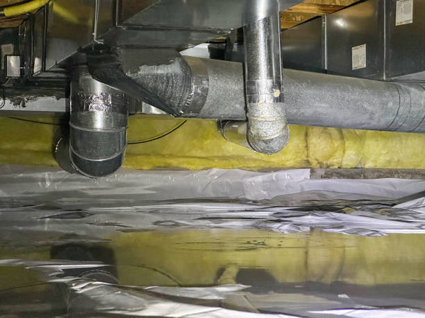 Best Water damage contractors near me  in Herrin, IL
