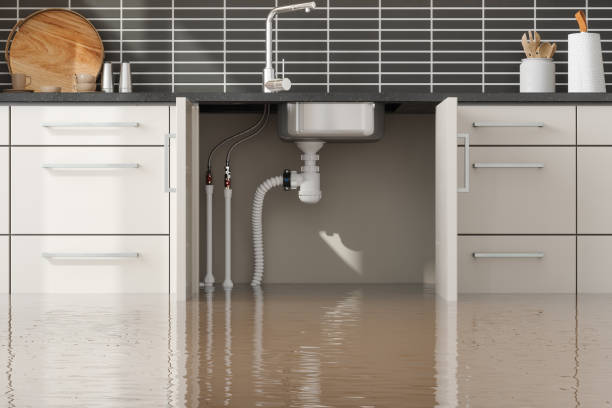 Sewage cleanup and water damage restoration in IL